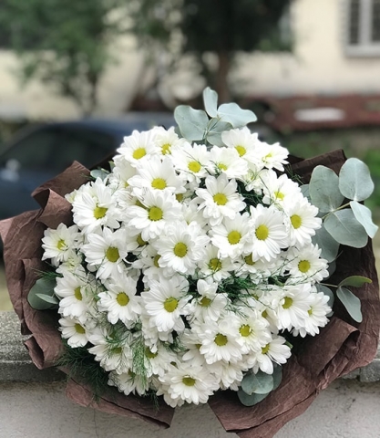 Beyaz Papatya Buketi