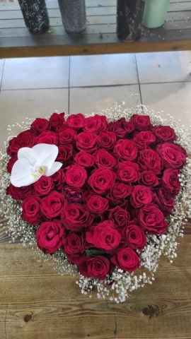 Kutuda Gül
